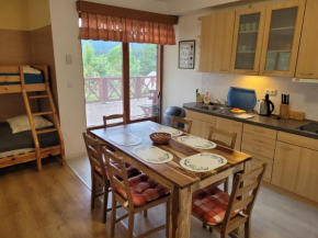 PENSION KUBU Apartment 3 samostatný byt s kuchyní